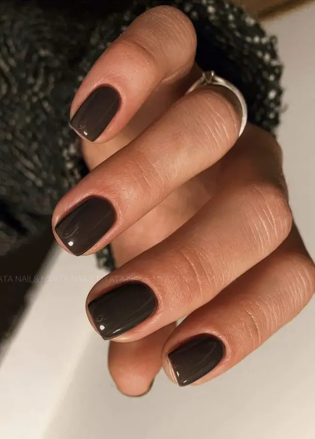 Chocolate Brown Nail Bliss