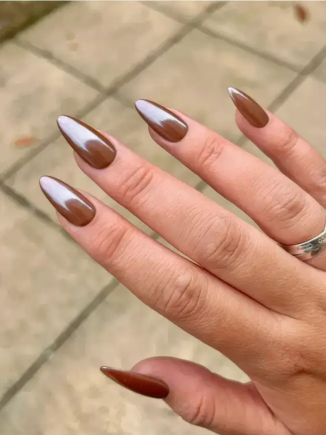 Chocolate Brown Glamour