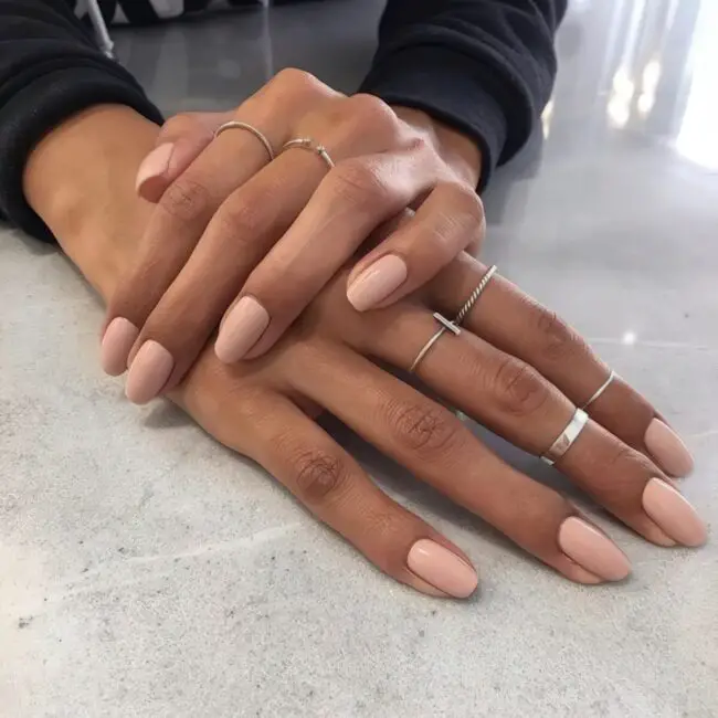 Fresh and Chic