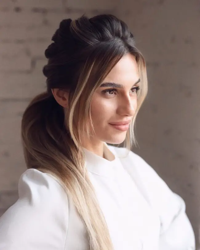 Chic and Sleek Low Ponytail