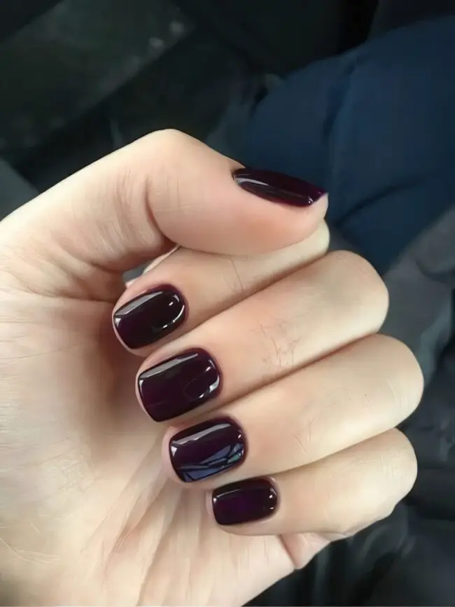Mysterious Plum Nail Glamour