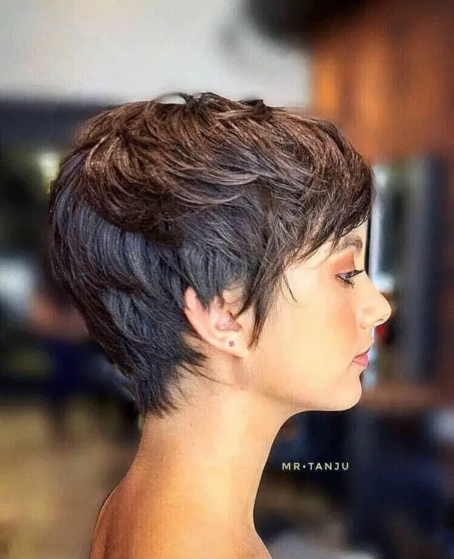 Playful Layered Pixie