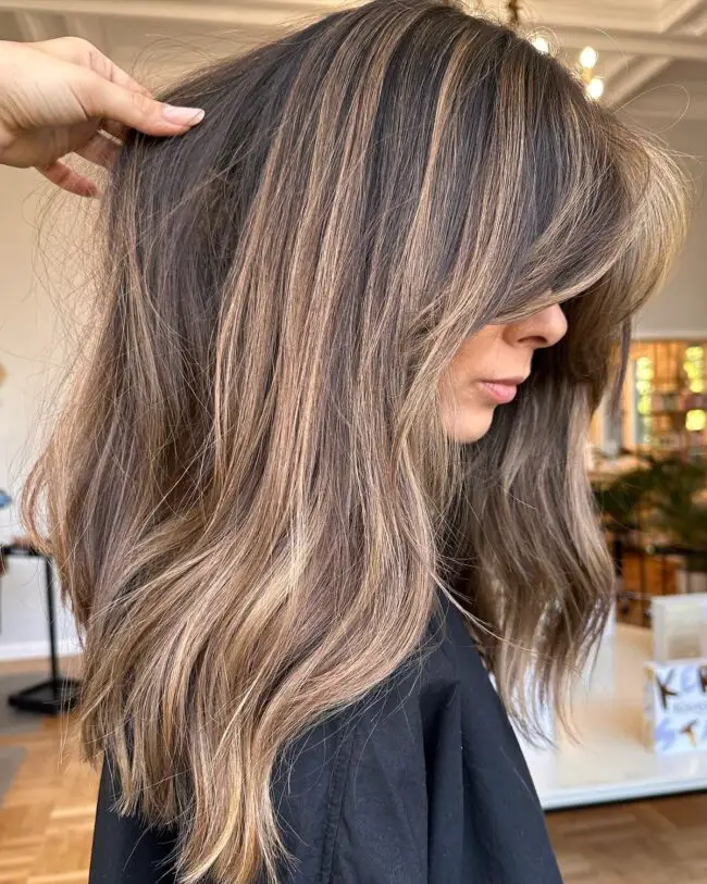Elegant Ashy Highlights