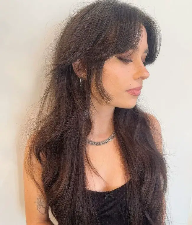Chic Wolf Cut Inspiration