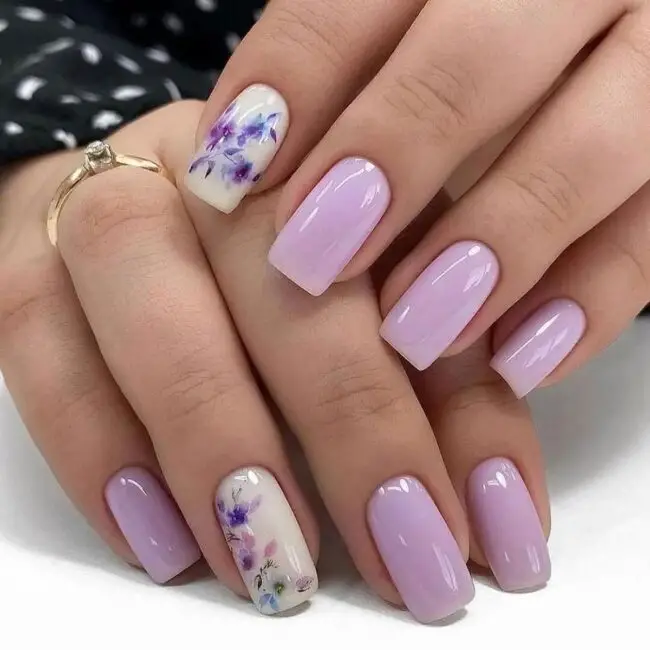 Lavender Dreams on the Horizon
