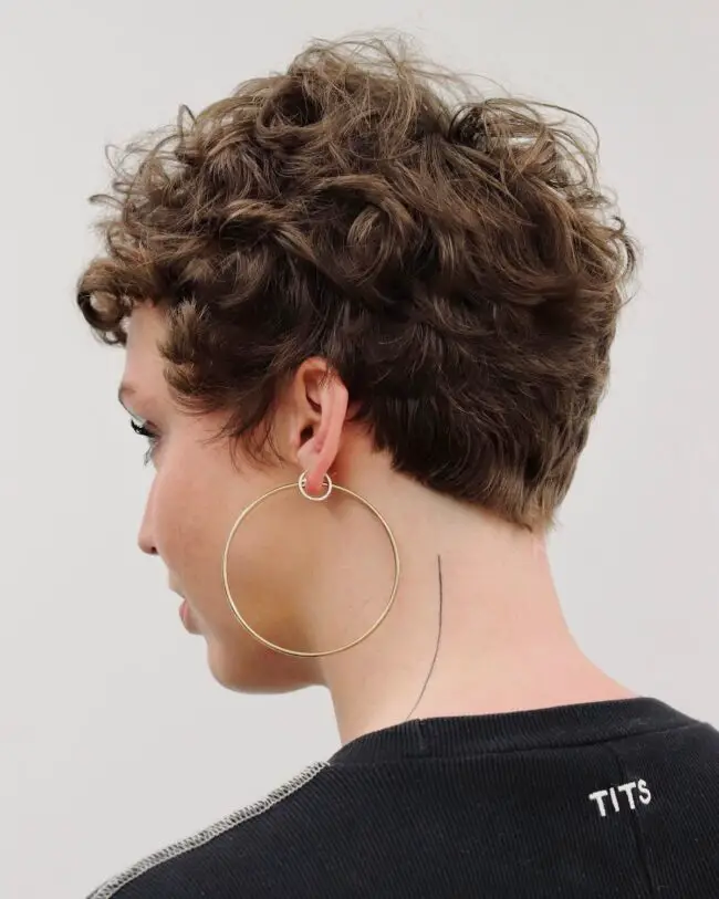 Chic Sculpted Pixie