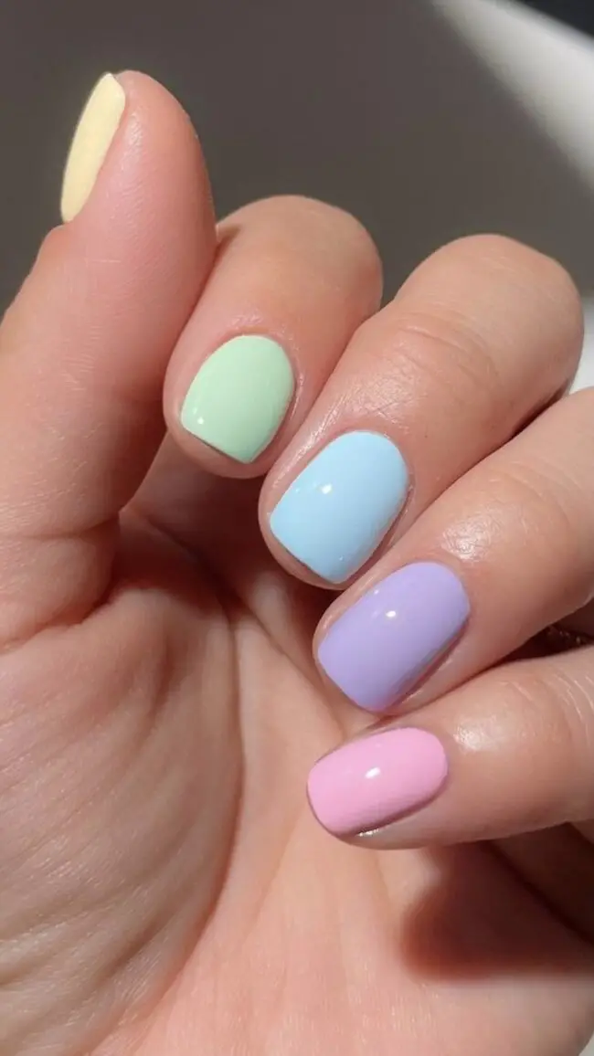 Soft Blocked Color Design