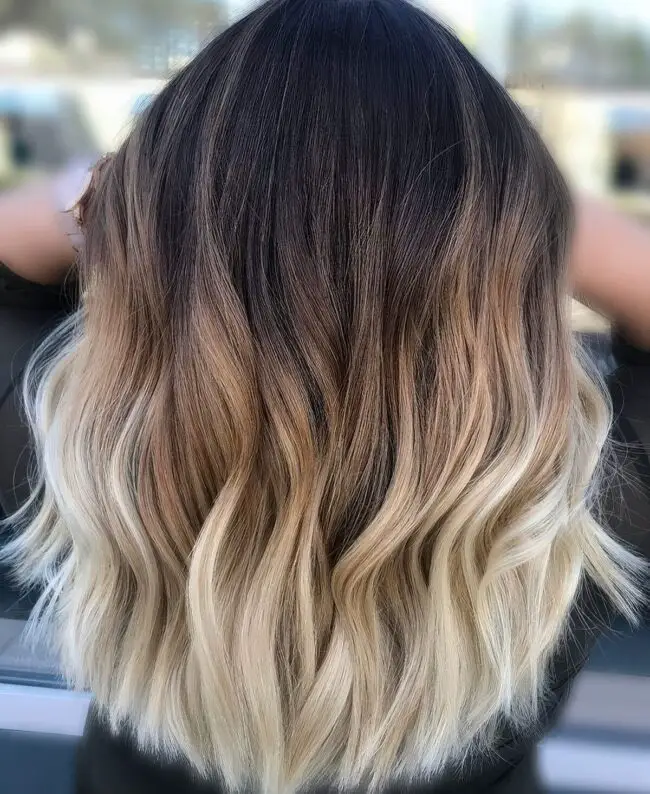 Warm Ombre Delight