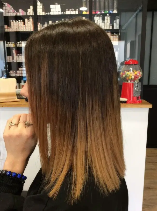 Chic Brown Ombre