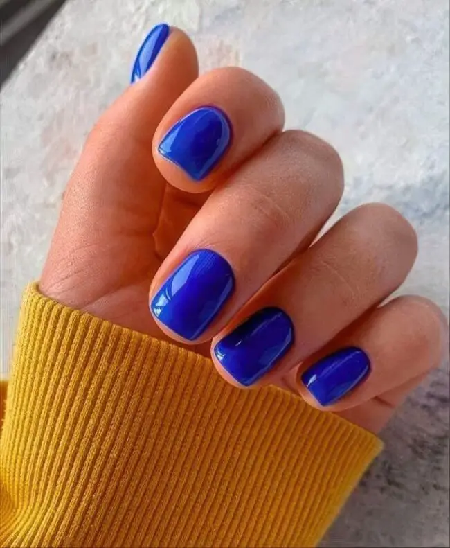 Bold Blue Beauty