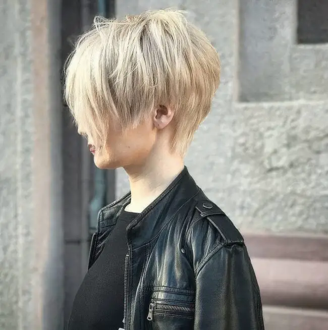 Modern Layered Pixie Magic
