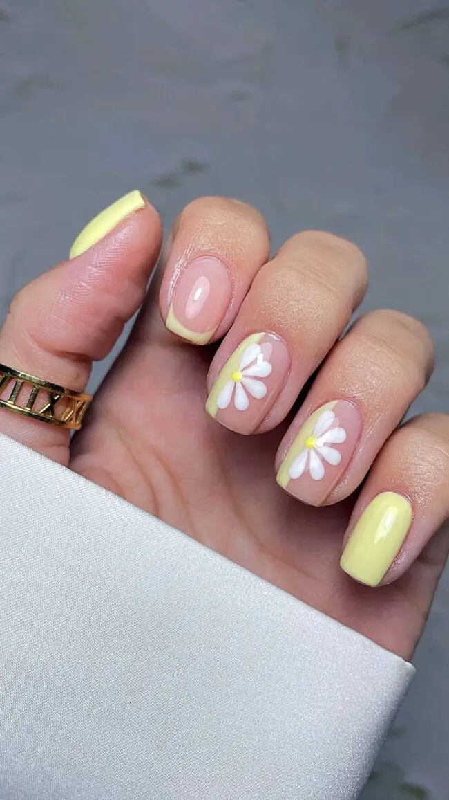Fresh Daisy Appeal