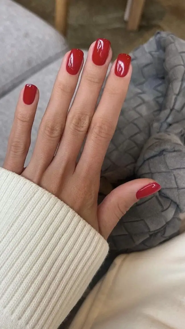 Dreamy Red Velvet