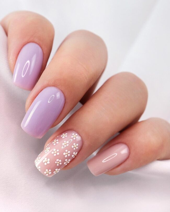 Lavender Dreams and Daisy Hues