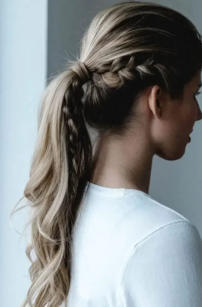 Braided Ponytail Delight