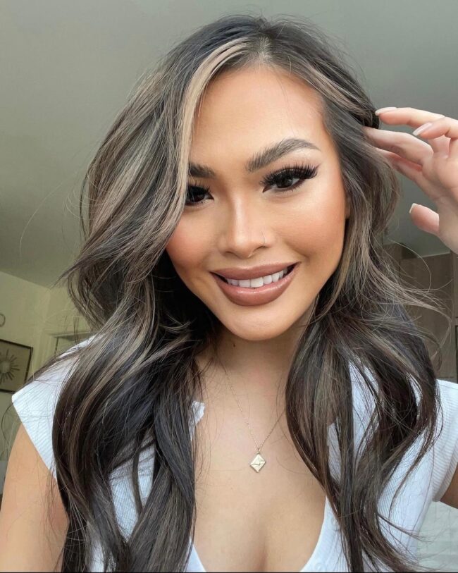 Chic Silver Lining Highlights