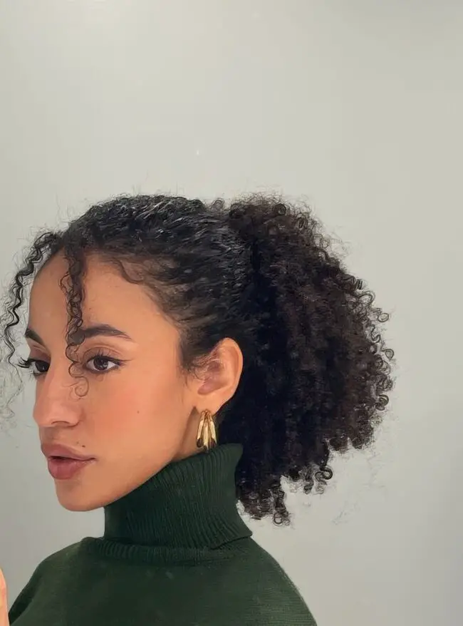 Radiant Afro Hair Transformation