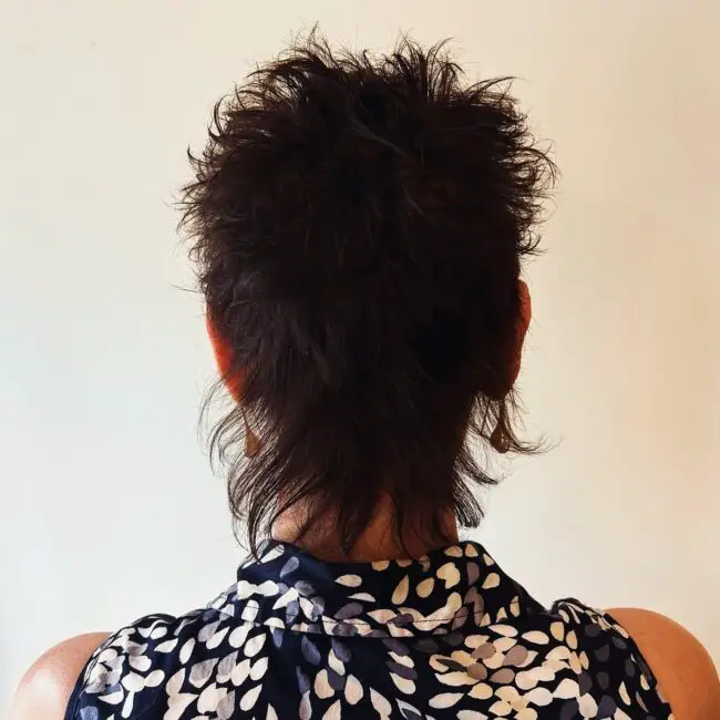 Untamed Shaggy Mullet