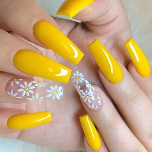 Sunshine And Floral Cheer