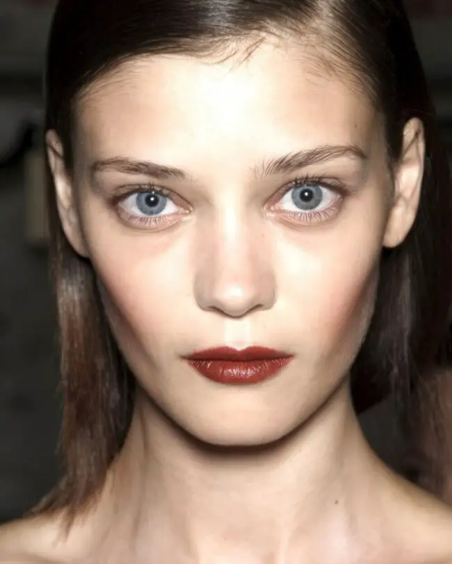 Autumn-Inspired Deep Lip Statement