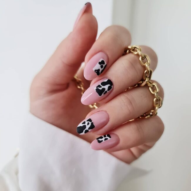 Animal Print Accents