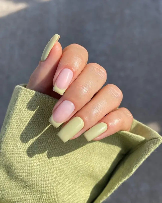 Mediterranean Olive Shades