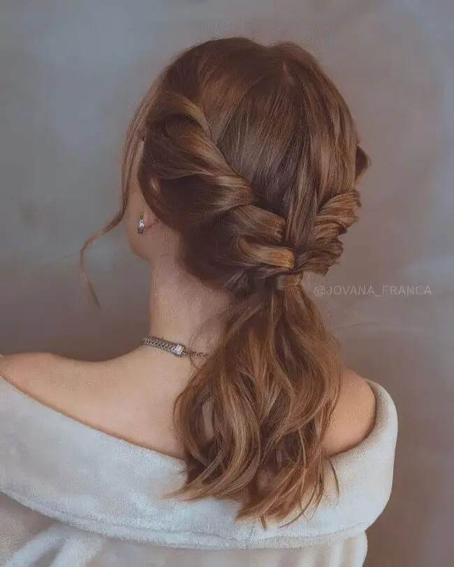 Braided Ponytail Beauty