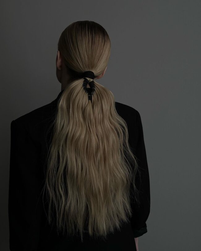 Chic and Sleek Ponytail