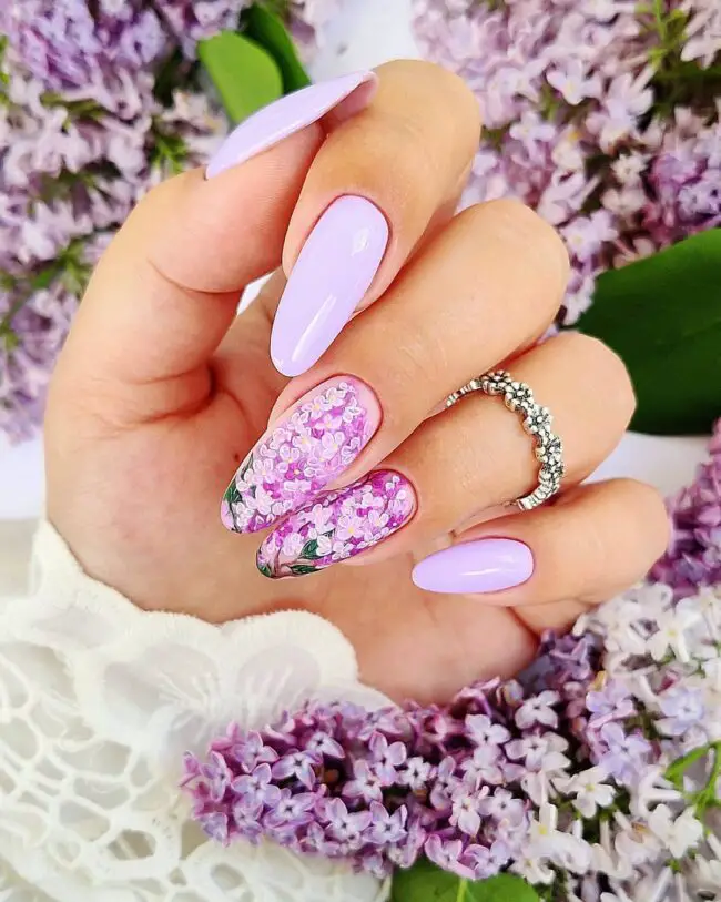 Lavender Fields that Last Forever