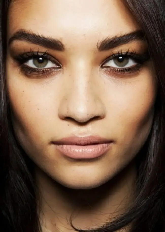 Nude Lip and Smoky Eye Fusion