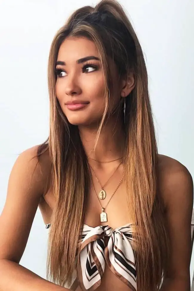 Sleek Half-Up Ponytail Look