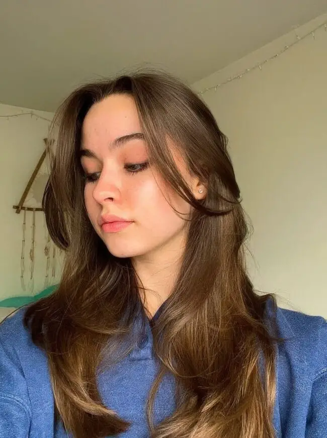 Rich Brown Long Layers with Highlights