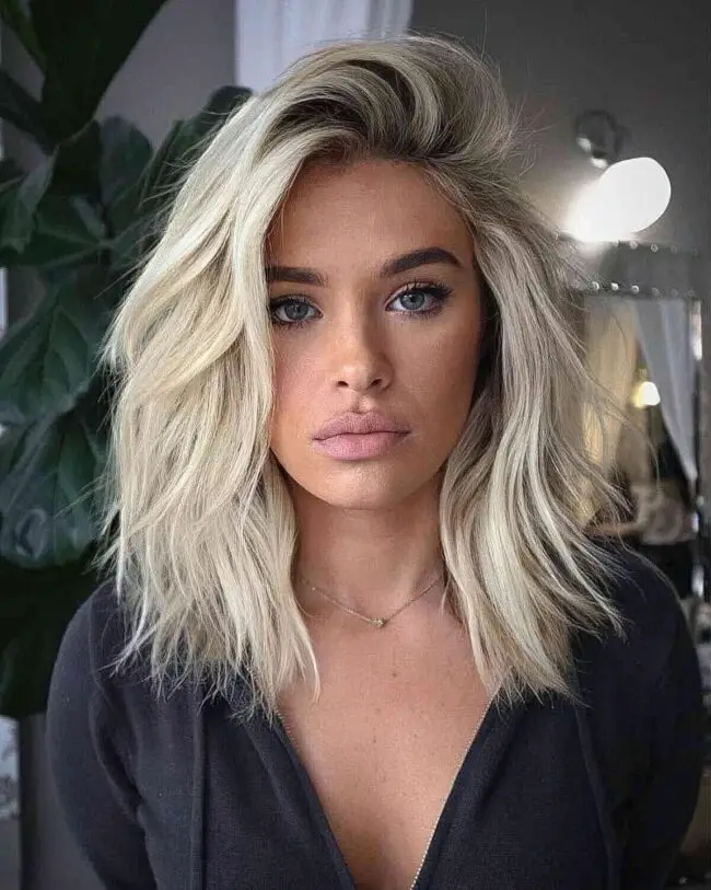 Lively Bob with Highlights