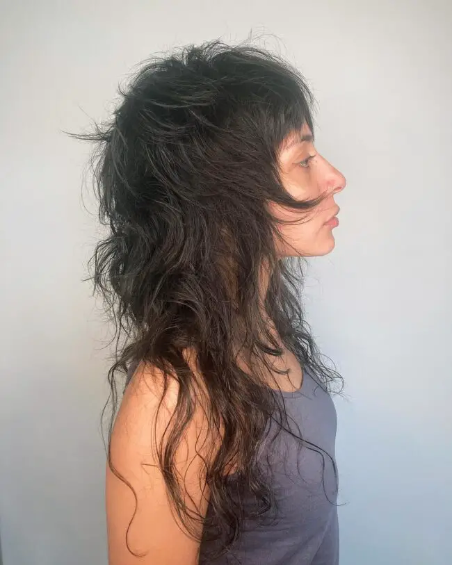 Long Shag with Layered Dimensions